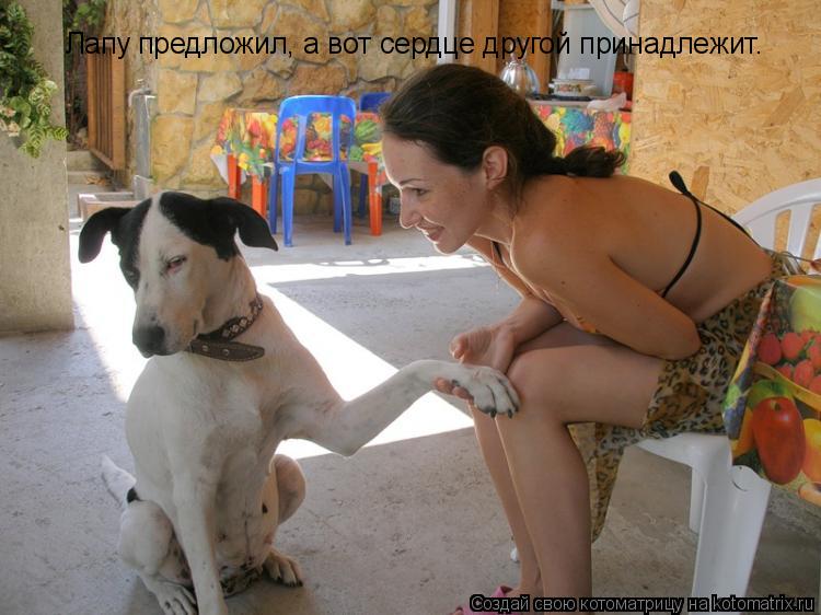 Котоматрица: Лапу предложил, а вот сердце другой принадлежит.