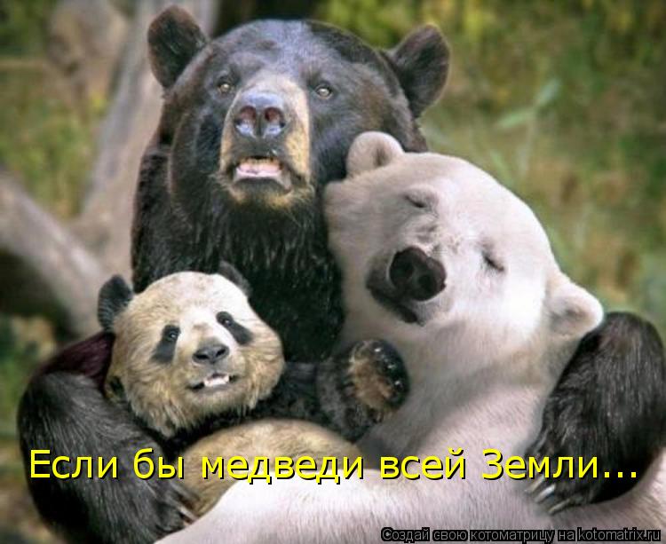 Котоматрица: Если бы медведи всей Земли...