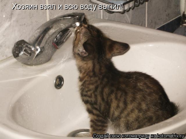 Котоматрица: Хозяин взял и всю воду выпил!