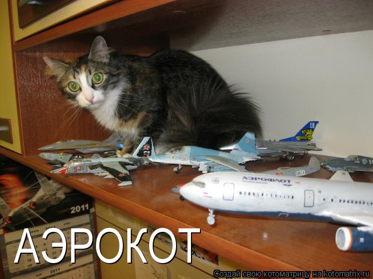 Котоматрица: АЭРОКОТ