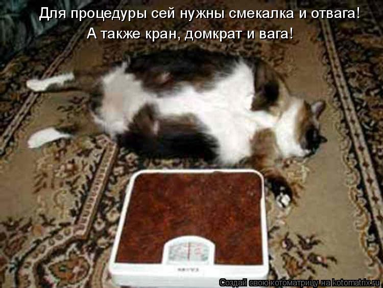 Для процедуры сей нужны смекалка и отвага! А также кран, домкрат и вага!... Котоматрица: Для процедуры сей нужны смекалка и отвага! А также кран, домкрат и вага!