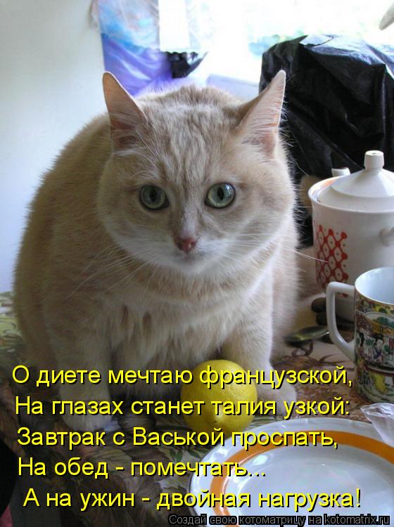 О диете мечтаю французской, На глазах станет талия узкой: Завтрак с Васькой проспать, На обед - помеч... Котоматрица: О диете мечтаю французской, На глазах станет талия узкой: Завтрак с Васькой проспать, На обед - помечтать... А на ужин - двойная нагрузка!