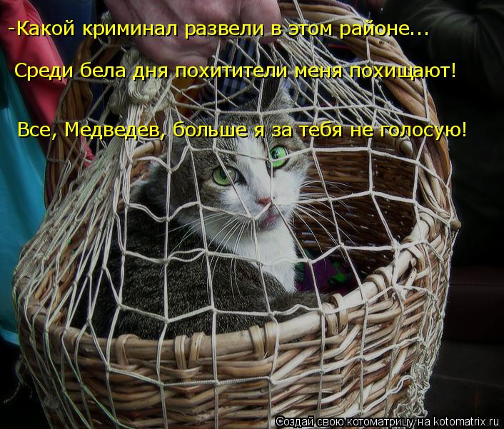 Котоматрица: -Какой криминал развели в этом районе... Среди бела дня похитители меня похищают! Все, Медведев, больше я за тебя не голосую!