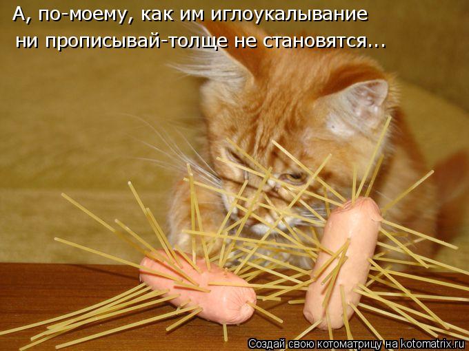 А, по-моему, как им иглоукалывание ни прописывай-толще не становятся...... Котоматрица: А, по-моему, как им иглоукалывание ни прописывай-толще не становятся...