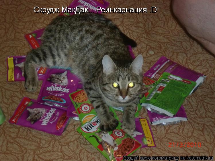 Котоматрица: Скрудж МакДак... Реинкарнация :D