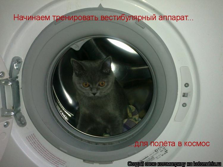 Котоматрица: Начинаем тренировать вестибулярный аппарат... ...для полёта в космос