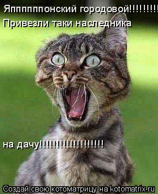 Котоматрица: Яппппппонский городовой!!!!!!!!!! Привезли таки наследника на дачу!!!!!!!!!!!!!!!!!!!