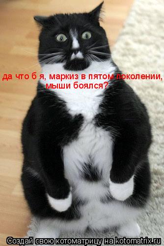 Котоматрица: да что б я, маркиз в пятом поколении,  мыши боялся?