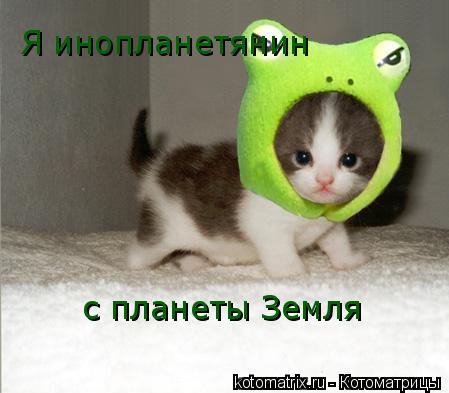 Котоматрица: Я инопланетянин  с планеты Земля