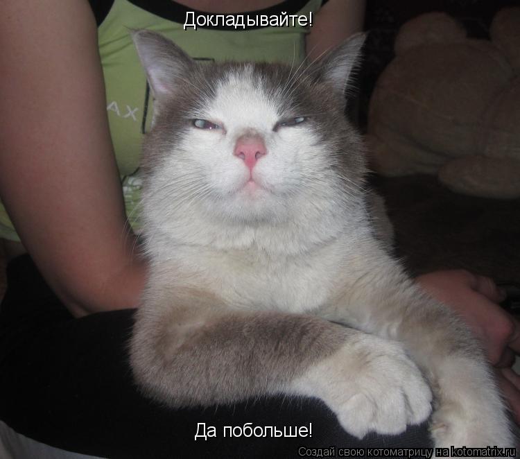 Котоматрица: Докладывайте! Да побольше!