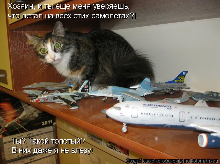 Котоматрица: что летал на всех этих самолетах?! Хозяин, и ты еще меня уверяешь, Ты? Такой толстый? В них даже я не влезу!