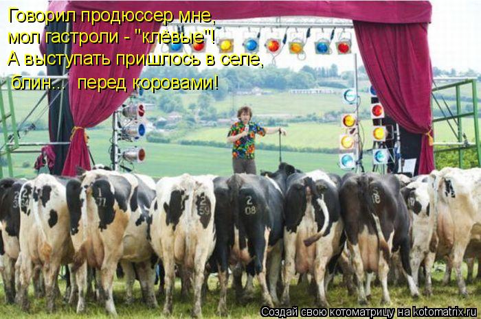 Котоматрица: Говорил продюссер мне,   мол гастроли - "клёвые"! А выступать пришлось в селе,  блин...  перед коровами!