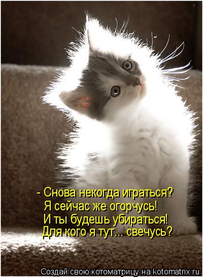 Котоматрица: - Снова некогда играться? Я сейчас же огорчусь! И ты будешь убираться! Для кого я тут... свечусь?