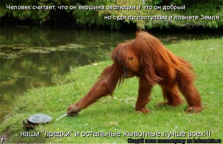 Котоматрица: Человек считает, что он вершина эволюции и что он добрый но судя по поступкам и планете Земля наши "предки" и остальные жывотные лучше всех!!!