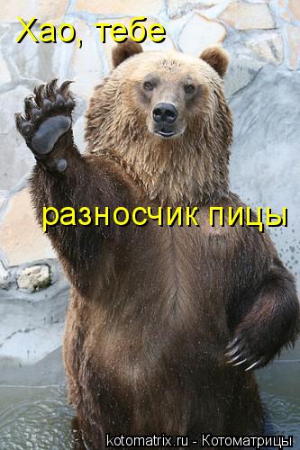 Котоматрица: Хао, тебе разносчик пицы