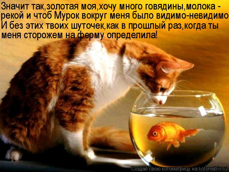 Значит так,золотая моя,хочу много говядины,молока - И без этих твоих шуточек,как в прошлый раз,когда ... Котоматрица: Значит так,золотая моя,хочу много говядины,молока - И без этих твоих шуточек,как в прошлый раз,когда ты меня сторожем на ферму определила! ре
