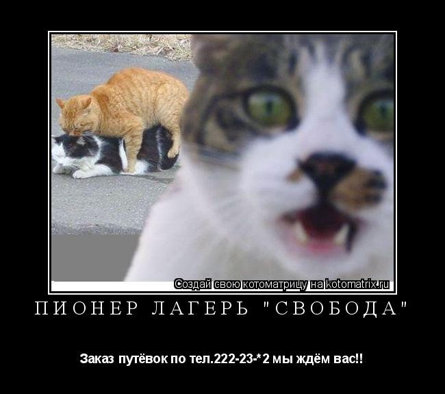 Котоматрица: Пионер лагерь "Свобода" Заказ путёвок по тел.222-23-*2 мы ждём вас!!