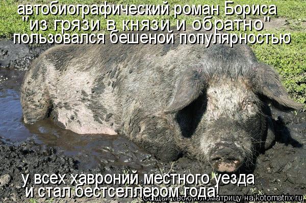 Котоматрица: автобиографический роман Бориса "из грязи в князи и обратно" пользовался бешеной популярностью у всех хавроний местного уезда и стал бестс