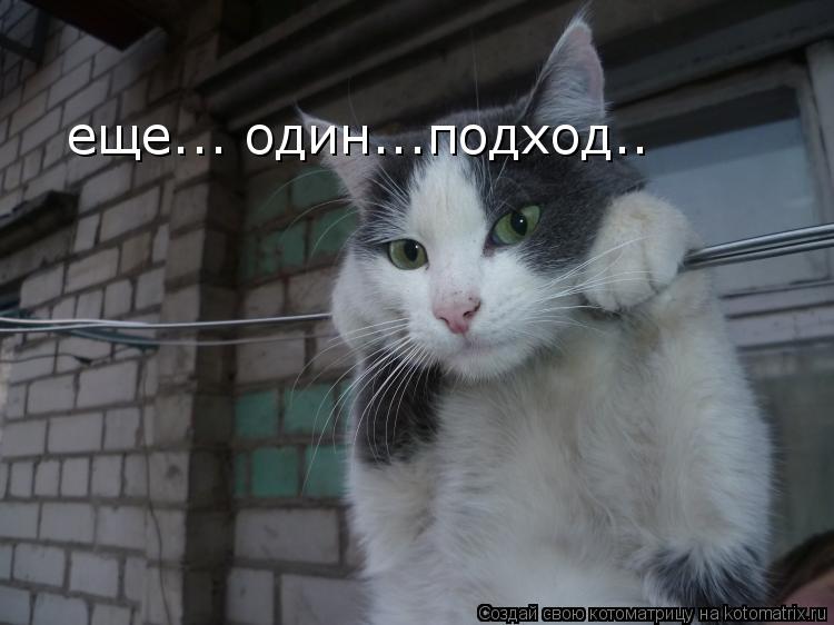 Котоматрица: еще... один...подход..