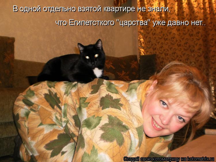 Котоматрица: В одной отдельно взятой квартире не знали,  что Египетсткого "царства" уже давно нет..