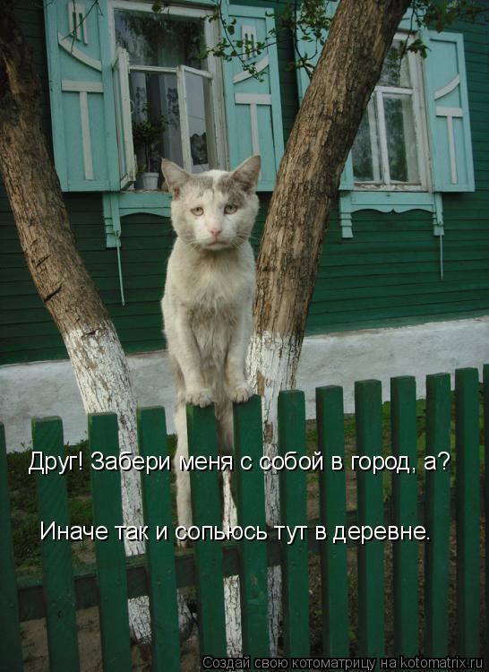 Котоматрица: Друг! Забери меня с собой в город, а?    Иначе так и сопьюсь тут в деревне.