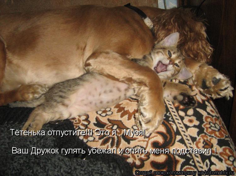 Котоматрица: Тётенька отпустите!!! Это я , Муся!  Ваш Дружок гулять убежал и опять меня подставил !