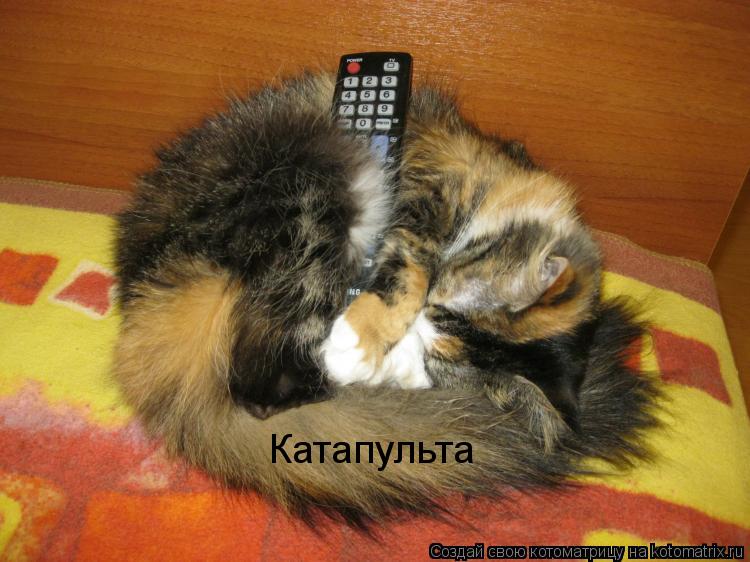 Котоматрица: Катапульта