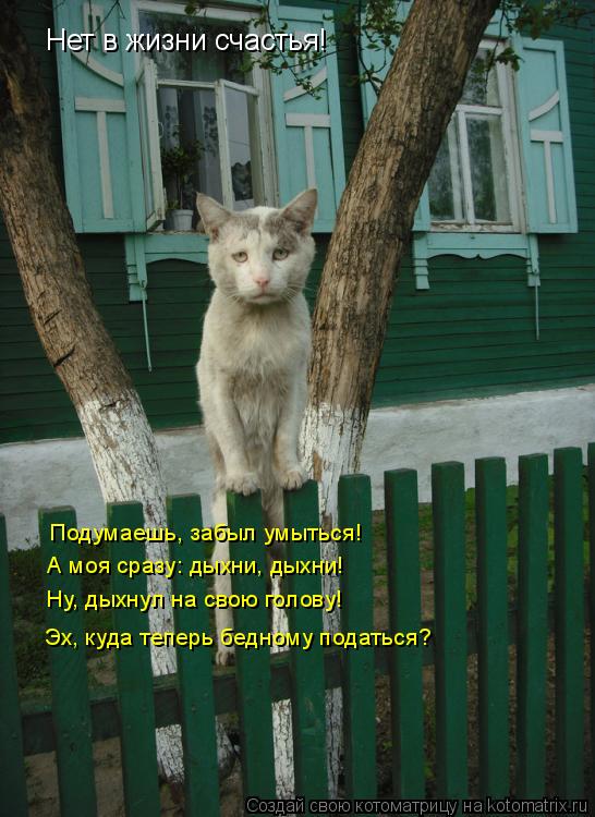 Котоматрица: Нет в жизни счастья! Подумаешь, забыл умыться! А моя сразу: дыхни, дыхни! Ну, дыхнул на свою голову! Эх, куда теперь бедному податься?