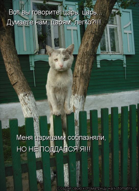 Котоматрица: Вот вы говорите: царь, царь... Думаете нам, царям, легко?!!! Меня царицами соблазняли, НО НЕ ПОДДАЛСЯ Я!!!