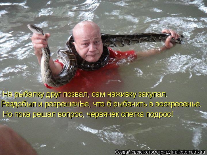 На рыбалку друг позвал, сам наживку закупал. Раздобыл и разрешенЬе, что б рыбачить в воскресенье. Но... Котоматрица: На рыбалку друг позвал, сам наживку закупал. Раздобыл и разрешенЬе, что б рыбачить в воскресенье. Но пока решал вопрос, червячек слегка подр
