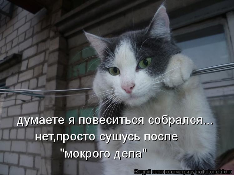 Котоматрица: думаете я повеситься собрался... нет,просто сушусь после "мокрого дела"