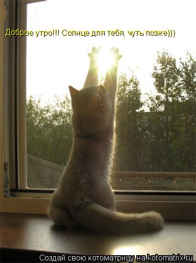 Котоматрица: Доброе утро!!! Солнце для тебя, чуть позже)))