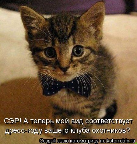 Котоматрица: СЭР! А теперь мой вид соответствует дресс-коду вашего клуба охотников?