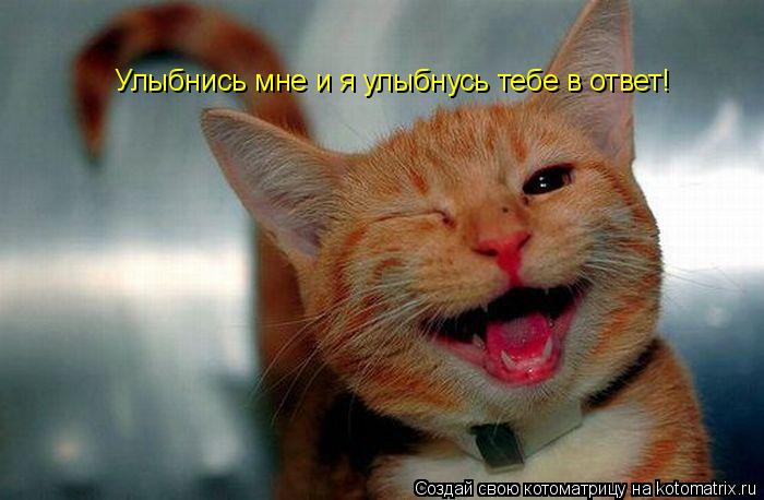 Котоматрица: Улыбнись мне и я улыбнусь тебе в ответ!