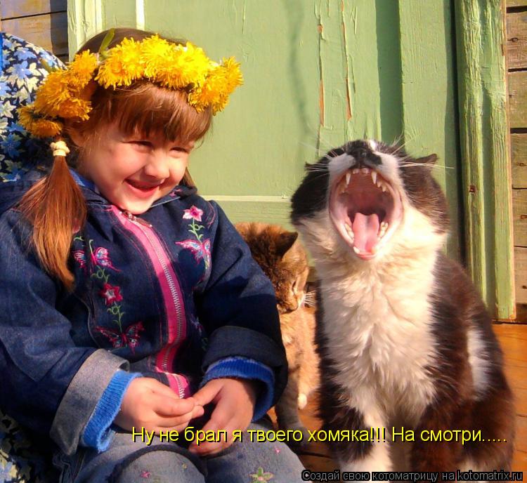Котоматрица: Ну не брал я твоего хомяка!!! На смотри.....