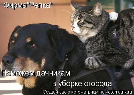 Котоматрица: Фирма"Репка" Поможем дачникам в уборке огорода