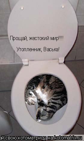 Котоматрица: Прощай, жестокий мир!!!!  Утопленник, Васька! Утопленник, Васька!