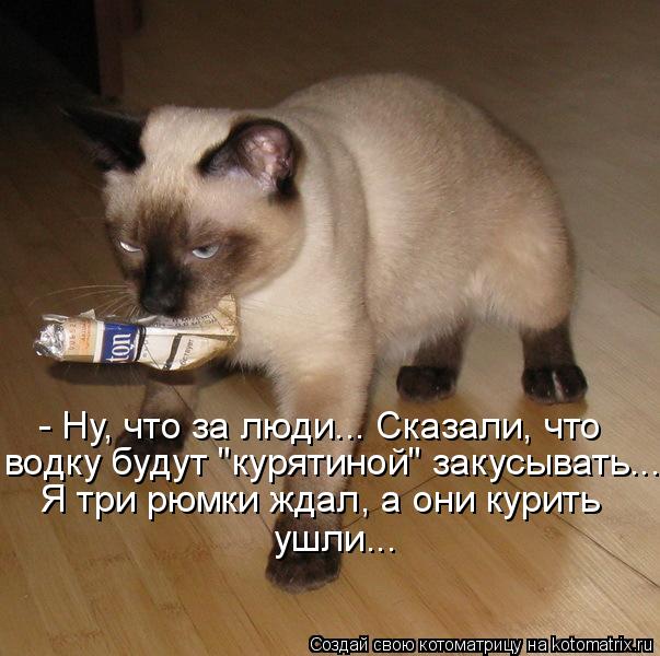 Котоматрица: - Ну, что за люди... Сказали, что водку будут "курятиной" закусывать... Я три рюмки ждал, а они курить ушли...