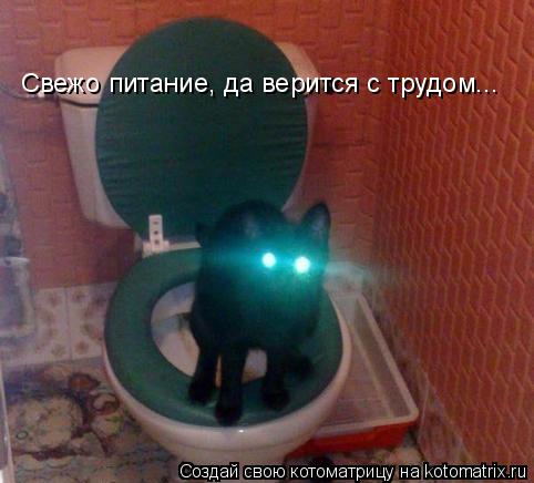 Котоматрица: Свежо питание, да верится с трудом...