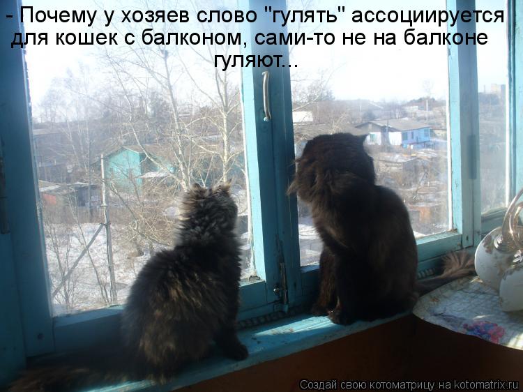 Котоматрица: - Почему у хозяев слово "гулять" ассоциируется для кошек с балконом, сами-то не на балконе гуляют...