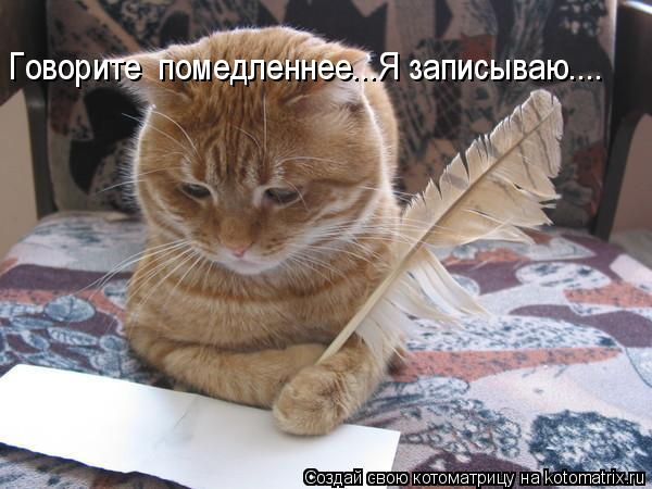 Говорите помедленнее...Я записываю....... Котоматрица: Говорите помедленнее...Я записываю....
