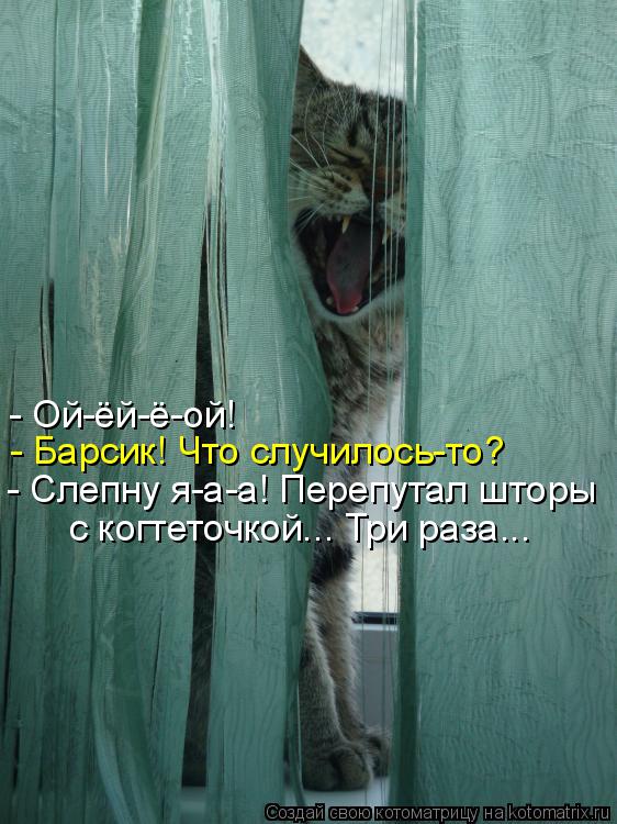 Котоматрица: - Ой-ёй-ё-ой! - Барсик! Что случилось-то? - Слепну я-а-а! Перепутал шторы с когтеточкой... Три раза...