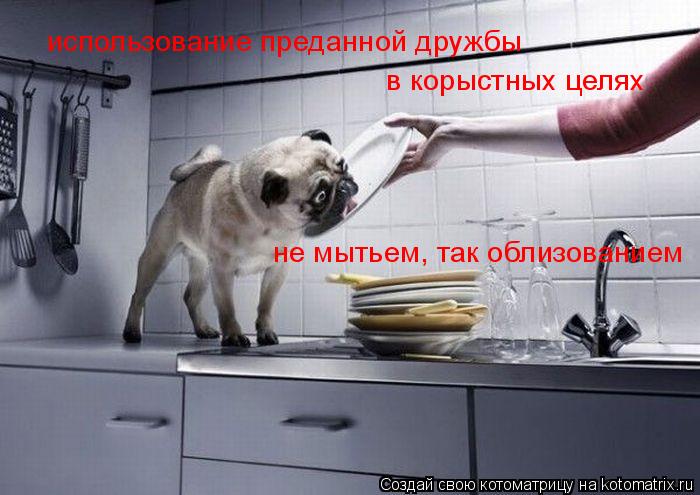 Котоматрица: использование преданной дружбы   в корыстных целях не мытьем, так облизованием