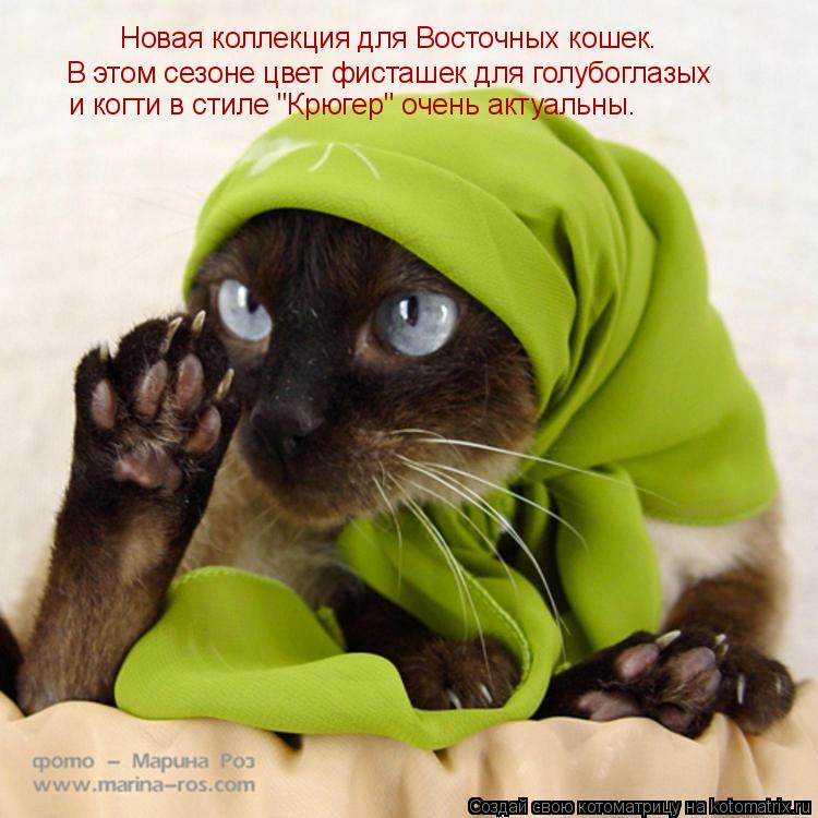 Котоматрица: Новая коллекция для Восточных кошек. В этом сезоне цвет фисташек для голубоглазых и когти в стиле "Крюгер" очень актуальны.
