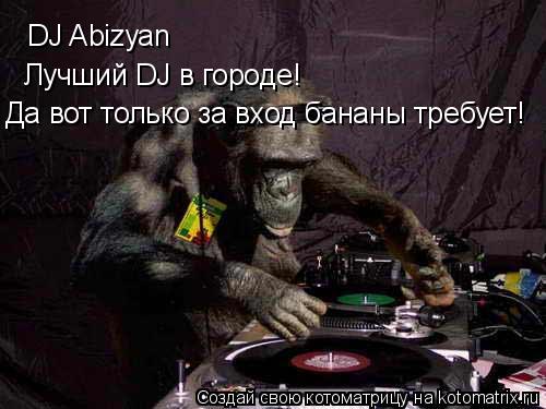 Котоматрица: DJ Abizyan Лучший DJ в городе! Да вот только за вход бананы требует!