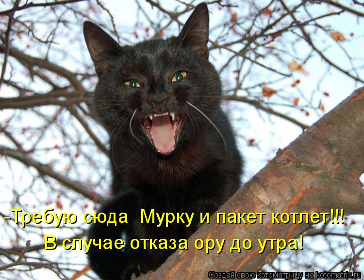 Котоматрица: -Требую сюда  Мурку и пакет котлет!!!  В случае отказа ору до утра!