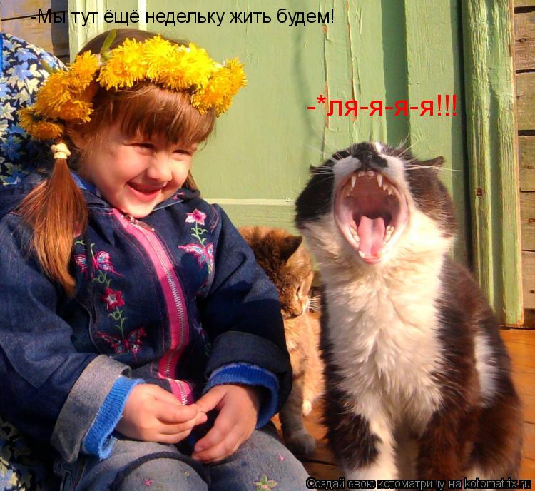 Котоматрица: -Мы тут ёщё недельку жить будем! -*ля-я-я-я!!!