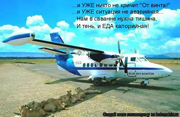 ...и УЖЕ никто не кричит:"От винта!" ...и УЖЕ ситуация не аварийная... Нам в саванне нужна тишина, И ... Котоматрица: ...и УЖЕ никто не кричит:"От винта!" ...и УЖЕ ситуация не аварийная... Нам в саванне нужна тишина, И тень, и ЕДА калорийная!