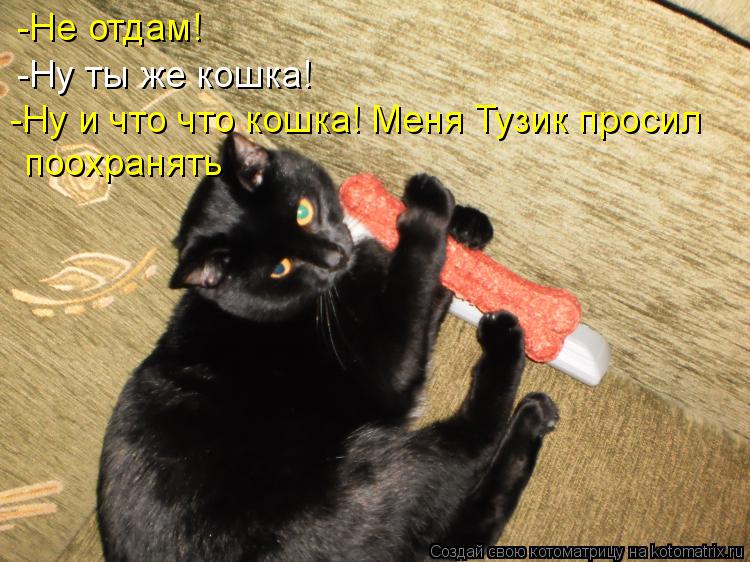Котоматрица: -Не отдам! -Ну ты же кошка! -Ну и что что кошка! Меня Тузик просил  поохранять