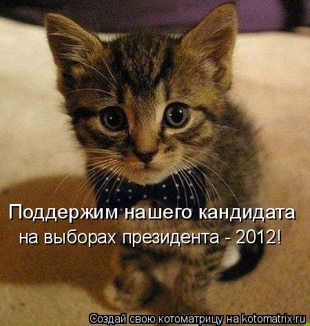 Поддержим нашего кандидата на выборах президента - 2012!... Котоматрица: Поддержим нашего кандидата на выборах президента - 2012!